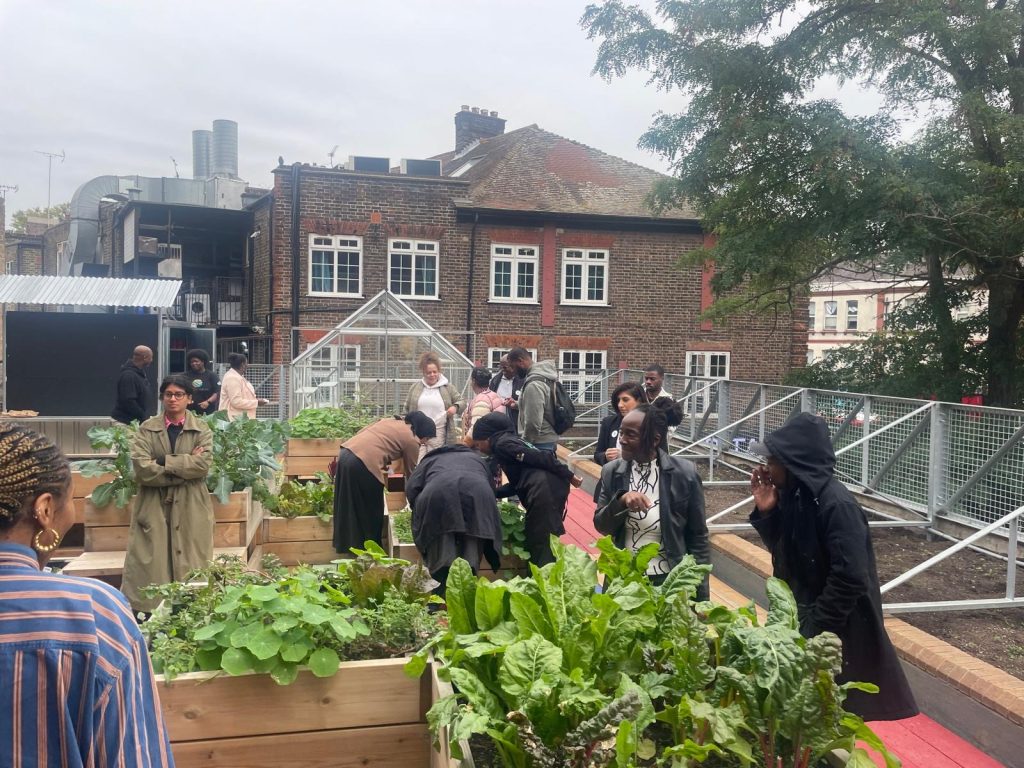 Eat Wood Green: inner city food farm