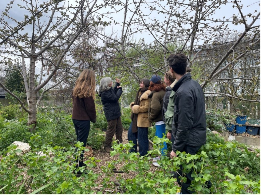Forest Garden Workshop