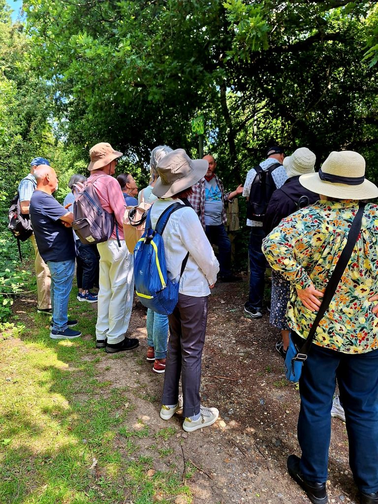 The Green Memory Quilt Walk