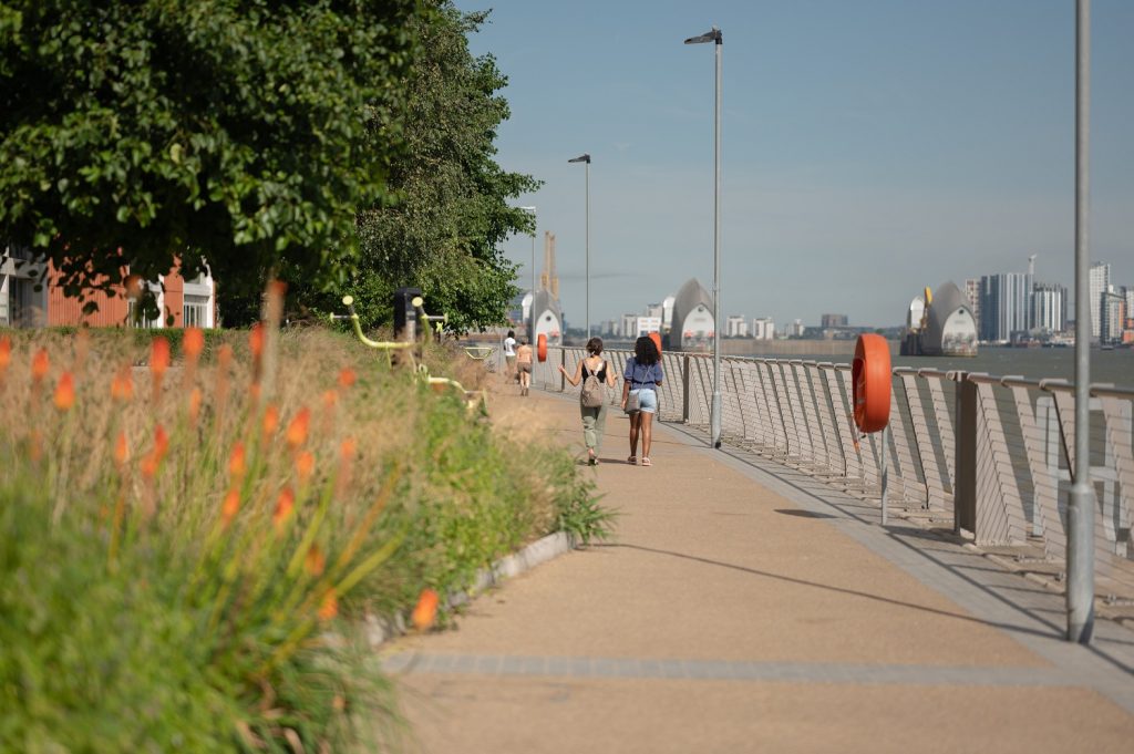 Explore the Royal Docks: Tours and Trails
