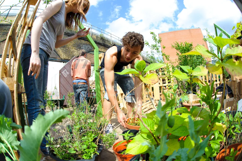 Get on the Grass: Wayward Plants & Friends