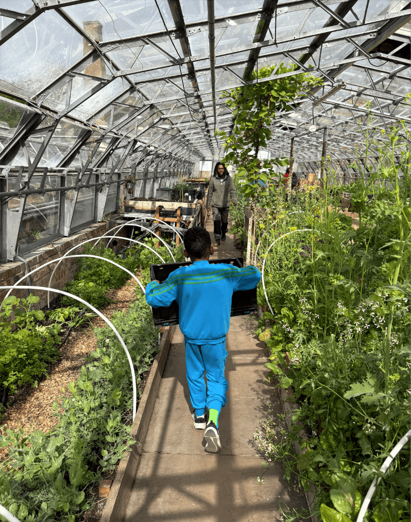 Co-creating belonging through food-growing activities
