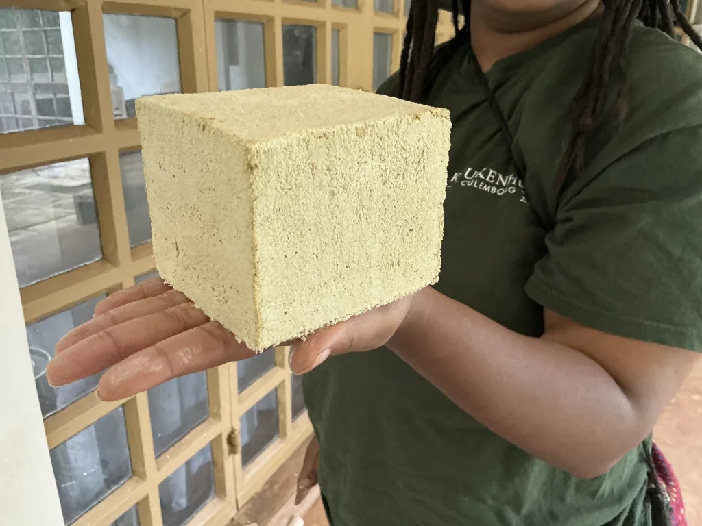 Material Futures from Kenya: Building Low-Carbon Housing with Waste